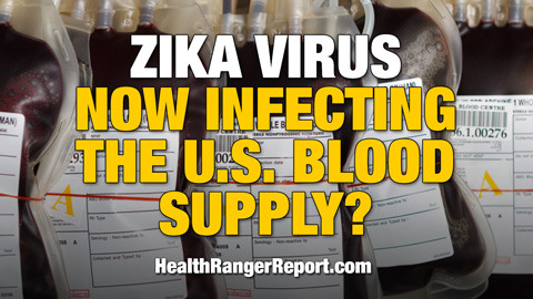 Zika-Virus-Infecting-US-Blood-Supply-480