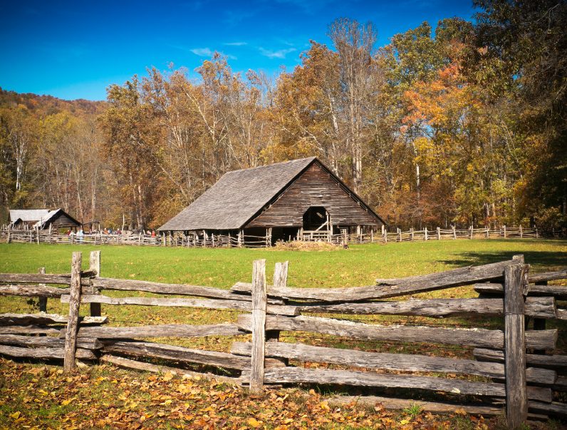 country-homestead-land-fence