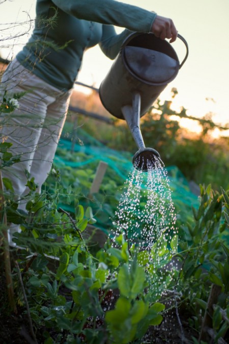 watering-garden