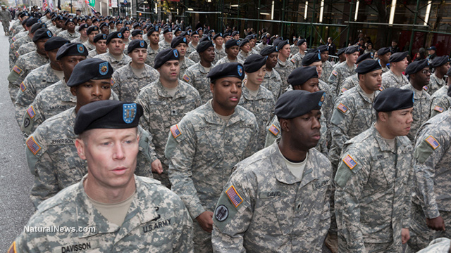 Editorial-Use-Veterans-Day-Parade-Military-Soldiers