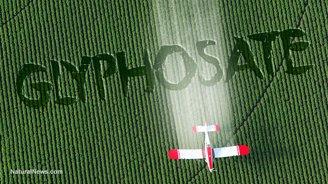 Glyphosate-Crop-Dusting