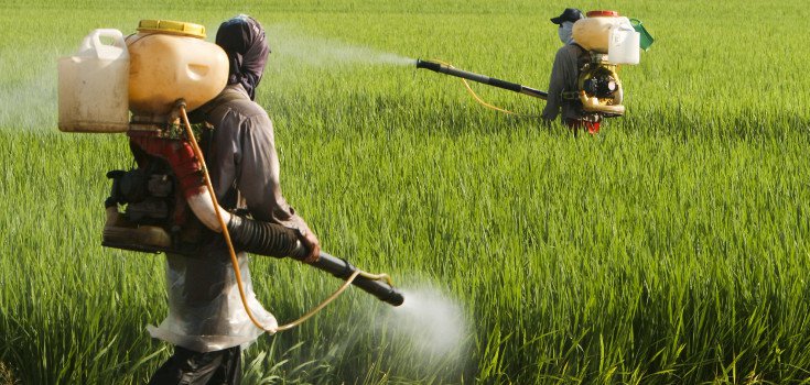 glyphosate