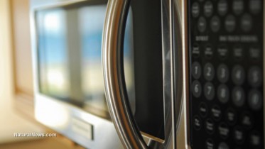 Closeup-Microwave