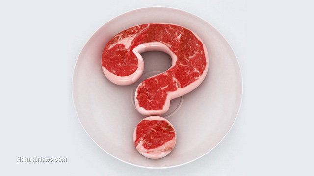 GMO-Question-Plate-Meat-Symbol