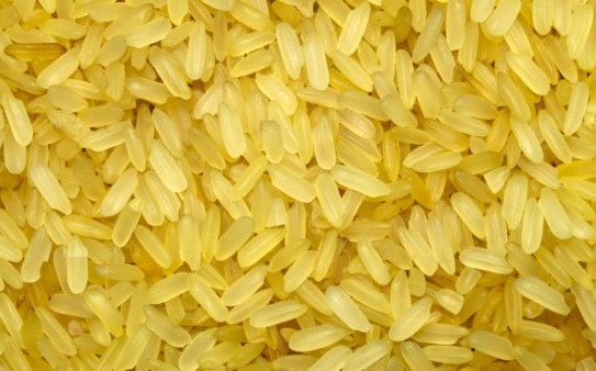 Golden Rice