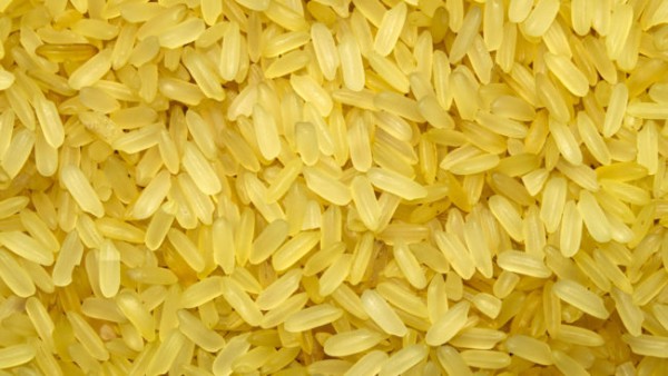 Golden Rice