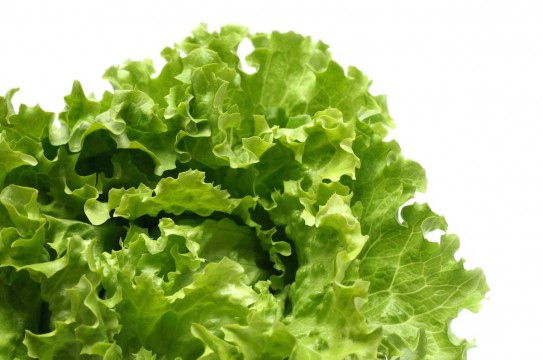 Lettuce-Leaves-Plant-Vegetable-On-White