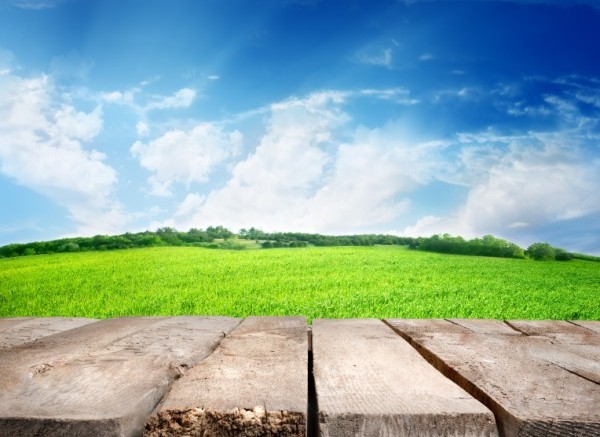 Fresh spring meadow, blue sky and wooden floor