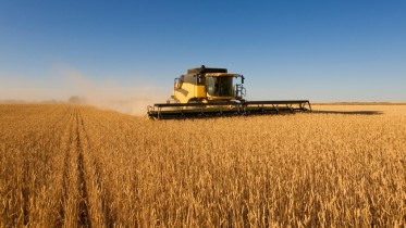 A modern combine harvester working a wheat field