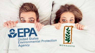 EPA81