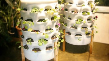 garden-tower-food-grow