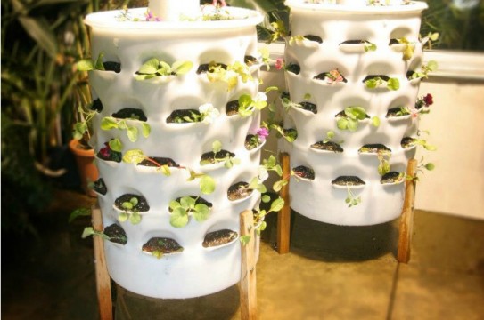 garden-tower-food-grow